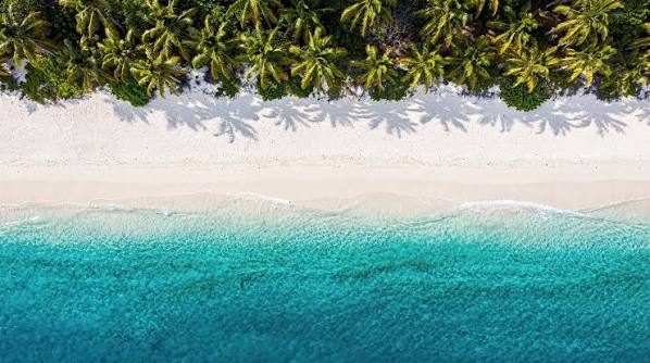 ILE MAURICE : Les plus belles excursions, saison après saison...