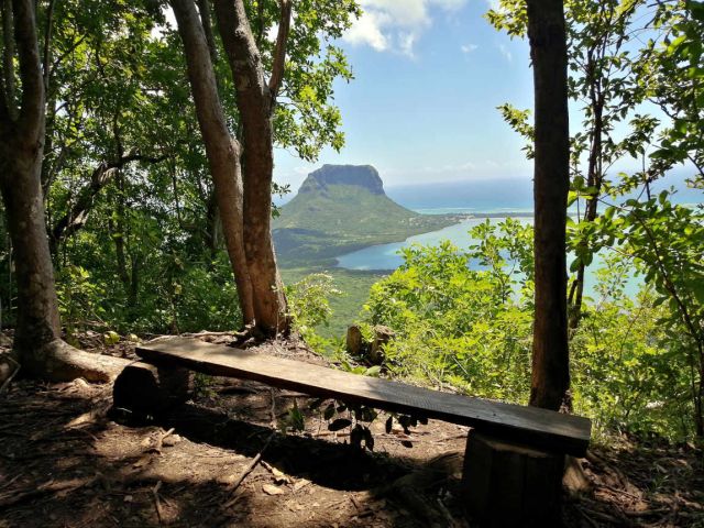 photos/ebony-forest-morne-point-de-vue-maurice.jpg