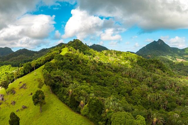 photos/la-vallee-bambous-virieux-ile-maurice.jpg